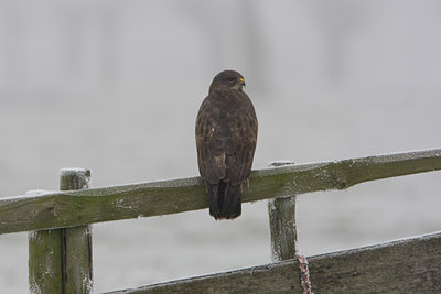 BUITEN BEELD Foto: 16957