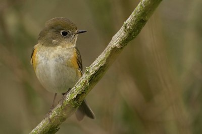 BUITEN BEELD Foto: 16959
