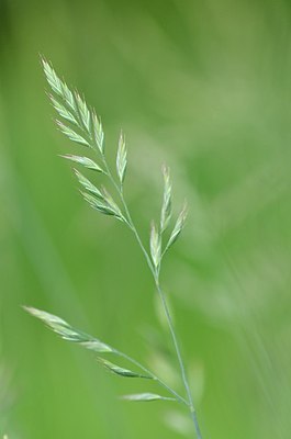 BUITEN BEELD Foto: 169117