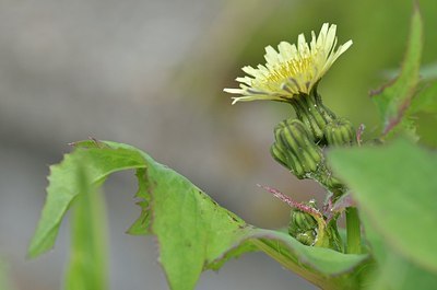 BUITEN BEELD Foto: 169121