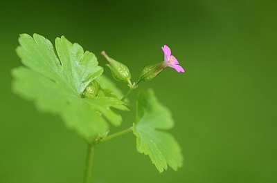 BUITEN BEELD Foto: 169135