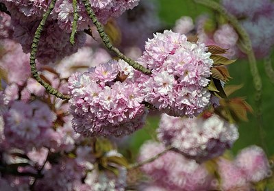 BUITEN BEELD Foto: 169202