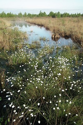 BUITEN BEELD Foto: 169216