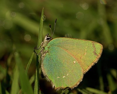 BUITEN BEELD Foto: 169221