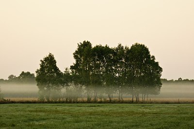 BUITEN BEELD Foto: 169226