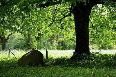 BUITEN BEELD Foto: 169229