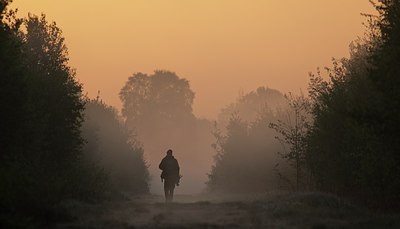 BUITEN BEELD Foto: 169235