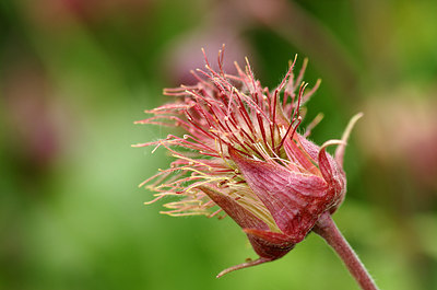 BUITEN BEELD Foto: 169238