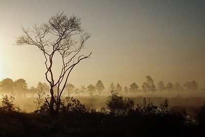 BUITEN BEELD Foto: 169242