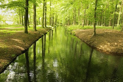 BUITEN BEELD Foto: 169246