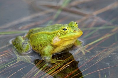 BUITEN BEELD Foto: 169254