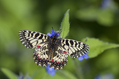 BUITEN BEELD Foto: 169263