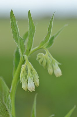 BUITEN BEELD Foto: 169274