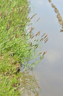 BUITEN BEELD Foto: 169277