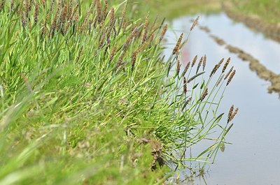 BUITEN BEELD Foto: 169278