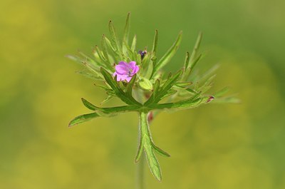 BUITEN BEELD Foto: 169281