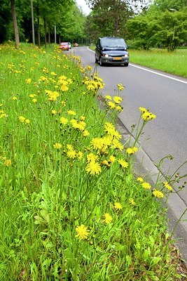 BUITEN BEELD Foto: 169290