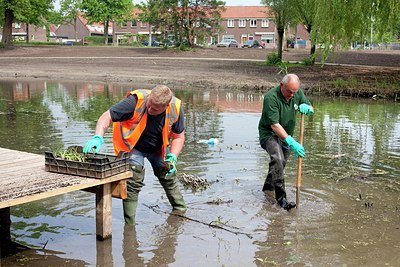 BUITEN BEELD Foto: 169294