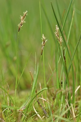 BUITEN BEELD Foto: 169309
