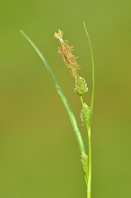 BUITEN BEELD Foto: 169310