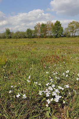 BUITEN BEELD Foto: 169328