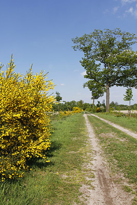 BUITEN BEELD Foto: 169335