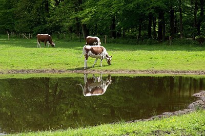 BUITEN BEELD Foto: 169345