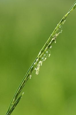 BUITEN BEELD Foto: 169352