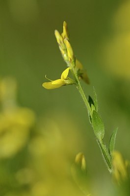 BUITEN BEELD Foto: 169356