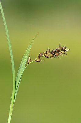 BUITEN BEELD Foto: 169366