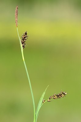 BUITEN BEELD Foto: 169367