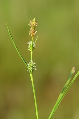 BUITEN BEELD Foto: 169369