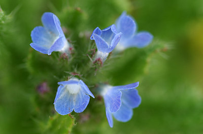 BUITEN BEELD Foto: 169388