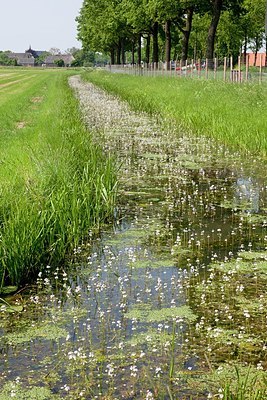 BUITEN BEELD Foto: 169392