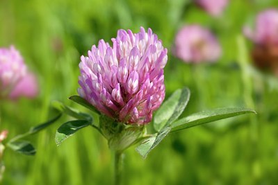 BUITEN BEELD Foto: 169405