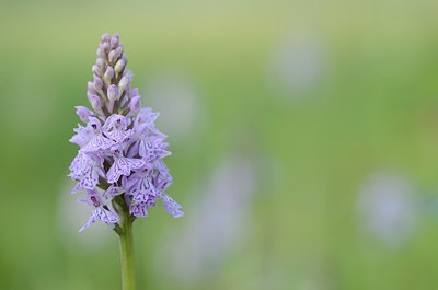 BUITEN BEELD Foto: 169420