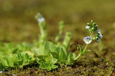 BUITEN BEELD Foto: 169424