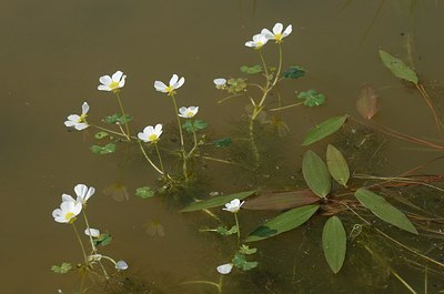 BUITEN BEELD Foto: 169426
