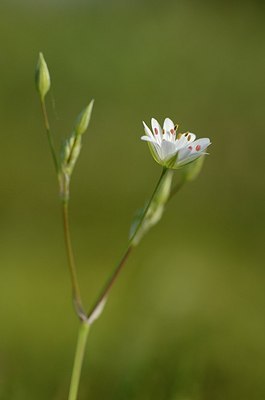 BUITEN BEELD Foto: 169432