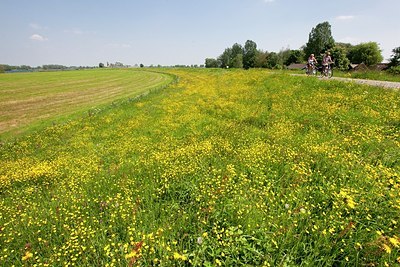 BUITEN BEELD Foto: 169443