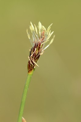 BUITEN BEELD Foto: 169444