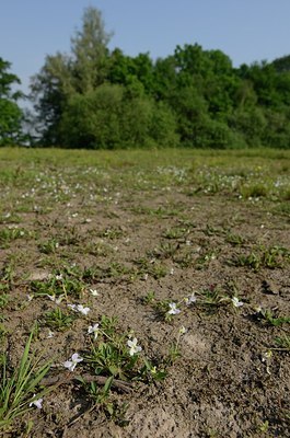 BUITEN BEELD Foto: 169451