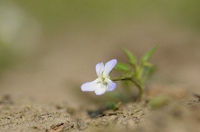 BUITEN BEELD Foto: 169453