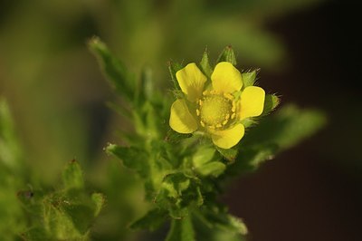 BUITEN BEELD Foto: 169473