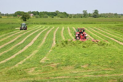 BUITEN BEELD Foto: 169483
