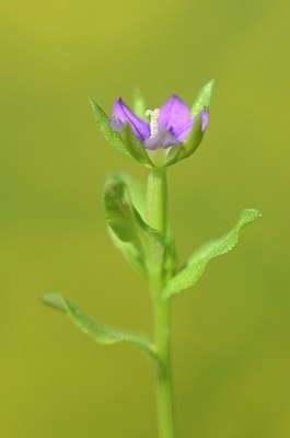 BUITEN BEELD Foto: 169488
