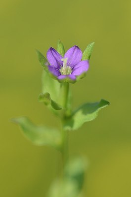 BUITEN BEELD Foto: 169489