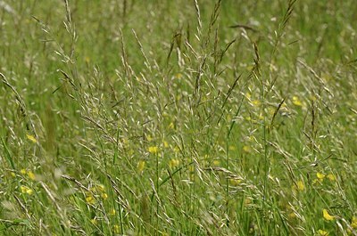 BUITEN BEELD Foto: 169493