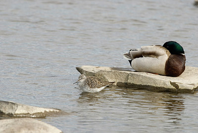 BUITEN BEELD Foto: 169514