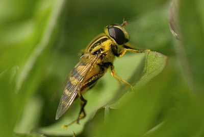 BUITEN BEELD Foto: 169529